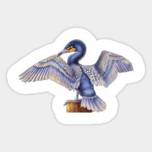 Cormorant Sticker